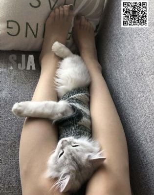99精品国产乱码久久久久久_1080P免费在线观看